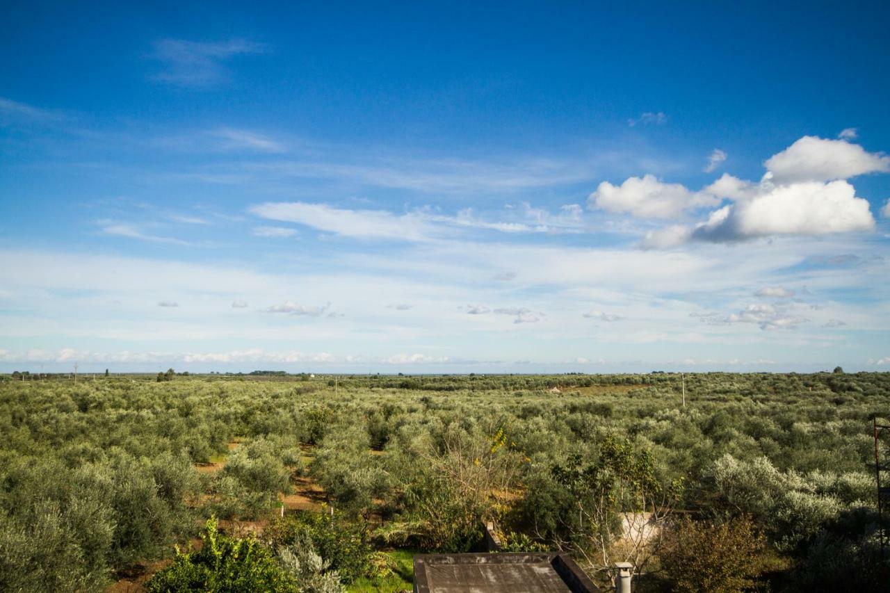 B&B Giordano Mariotto Exteriör bild